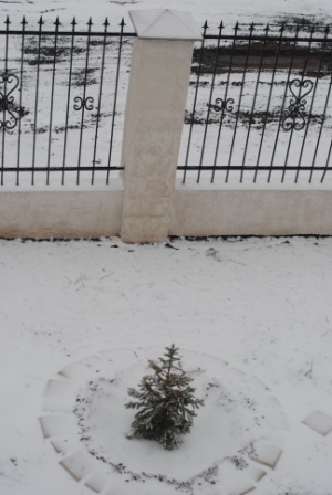 А из нашего окна, елочка в снегу видна))) А у вас весна?