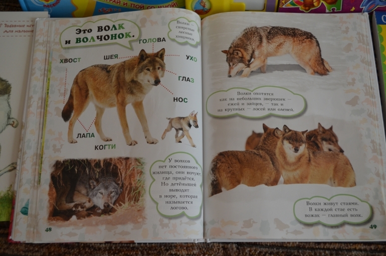 наши новые книги