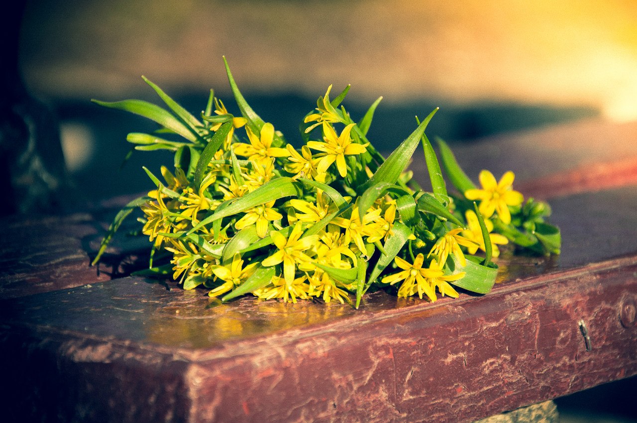 Приветик всем! Не писала давненько, попытаюсь вспомнить чего у нас новенького. Купили новую коляску от которой я просто балдею, очень удобная, легкая, с большой корзиной, с матрасиком и утепленным отстегивающимся чехлом на ножки и что для нас самое главное - компактная в сложенном виде и не огромная, так как я маленькая. На 8 марта мужчины наши нам с дочкой подарили каждой побукетику тюльпанов и мне плойку для выравнивания волос. На позапрошлой неделе ходили гулять в парк, погодка была замечательная. Нафотографировались, белочки там всякие, а в 5 вечера я неожиданно вспомнила, что у меня экзамен в этот день на 7 вечера по фотошколе)))) Экзамен сдала) Еще вспомнила, что снимала как проходят с*емки нового клаппа гр. Антителла на песню "Над полюсами". Записалась на МК свадебного фоторгаф в Киев на май) Уже жду не дождусь. А на прошлые выходные были в селе, поработали все дружненько, а Ромик гладил собаку Боса (это наша собака в селе). Муж спилил мне березовые веточки для работы с новороденными, думаю скоро я покау свои труды в работе) Ромчик растет потихоньку, зубов правда маловато, спит всю ночь, моет пару раз проснуться если раскроется и замерзнет или просто что-то приснится...А так молодец. Ну и как всегда немного фоточек.)