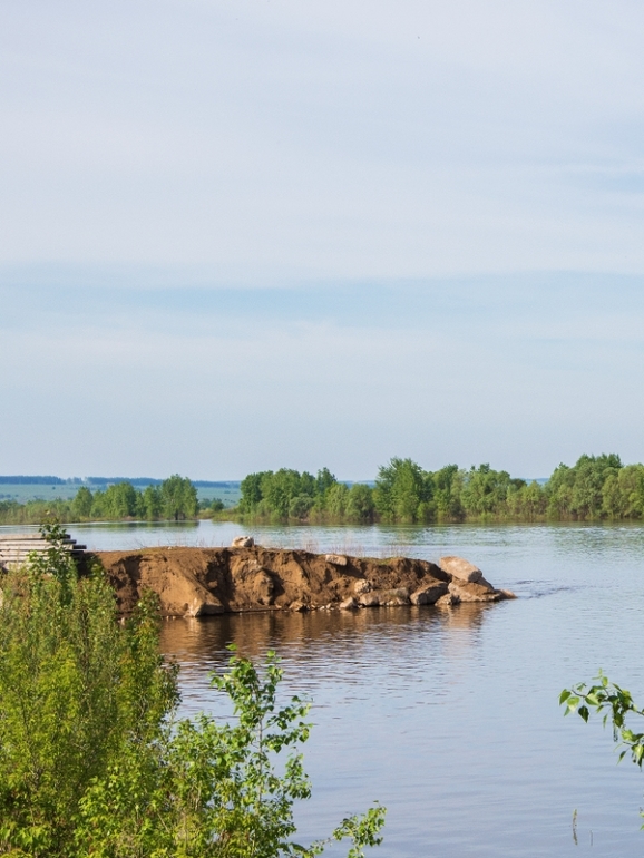Никола Вешний.