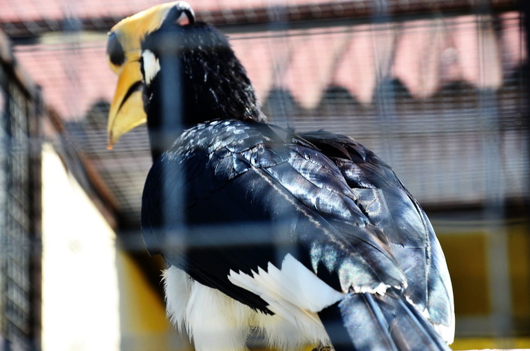 ВОРОБЬИный день :)