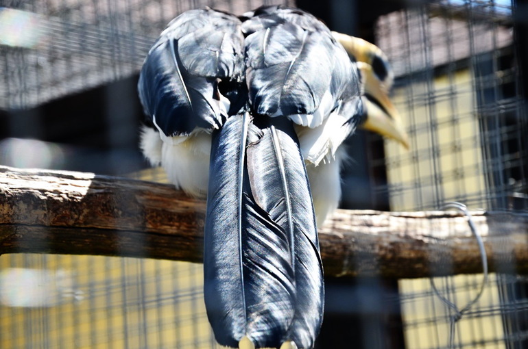 ВОРОБЬИный день :)