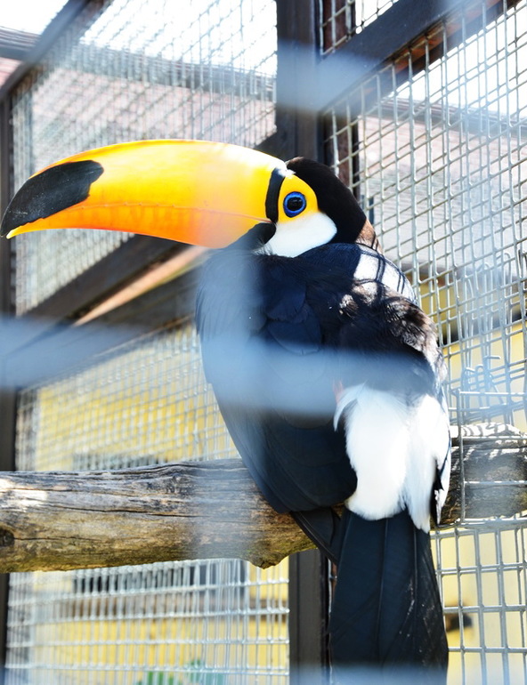 ВОРОБЬИный день :)