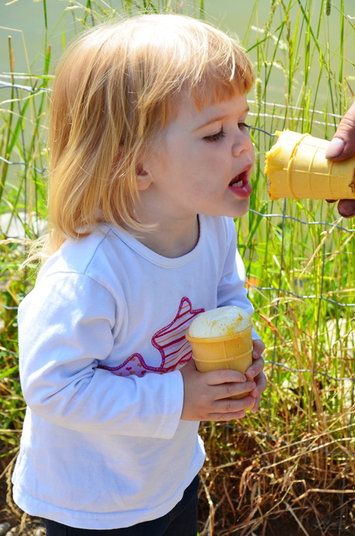 ВОРОБЬИный день :)