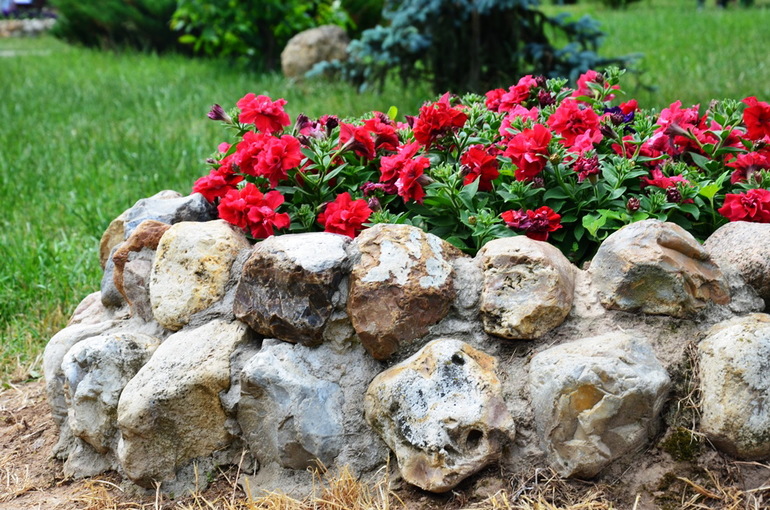 ВОРОБЬИный день :)