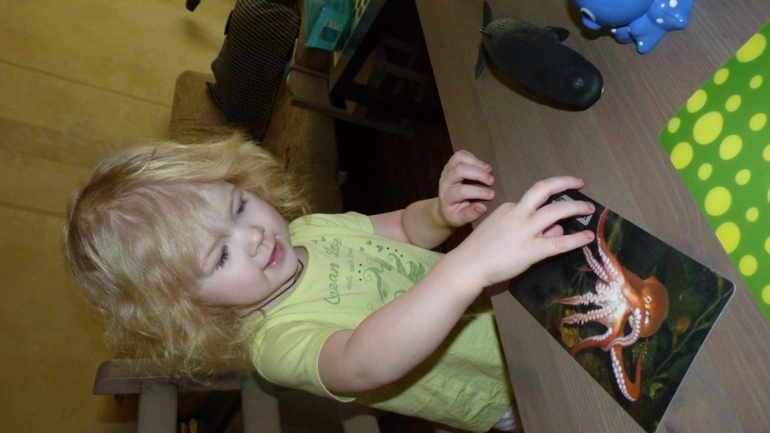 ТН Море: осьмниног, морская звезда, морской конек. День 2