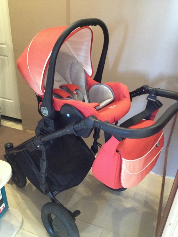 Продаю свою любимицу, красавицу Tutis Zippy Pia цвет Rubin.