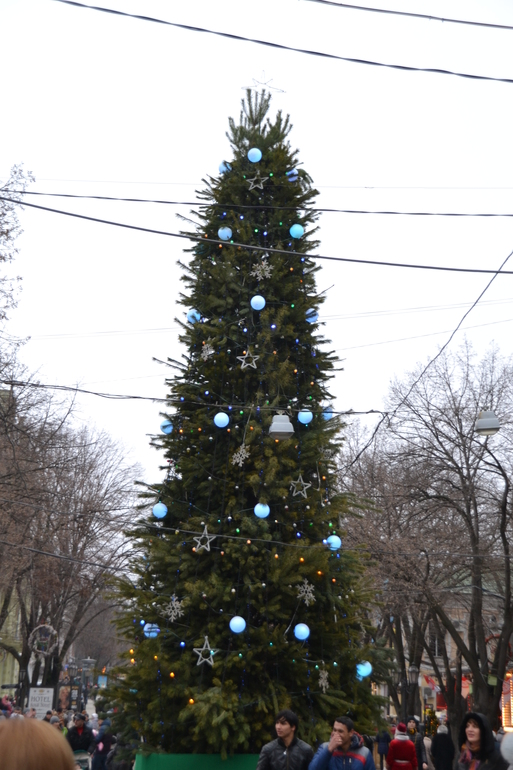 Рождественская Одесса