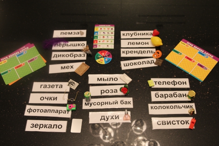 лото 5 чувств