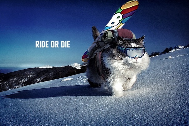 ОЛИМПИЙСКИЙ МАРАФОН - 8 день. Сноубордическо-падонческий