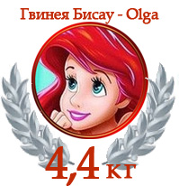 ОЛИМПИЙСКИЙ МАРАФОН - Награждение