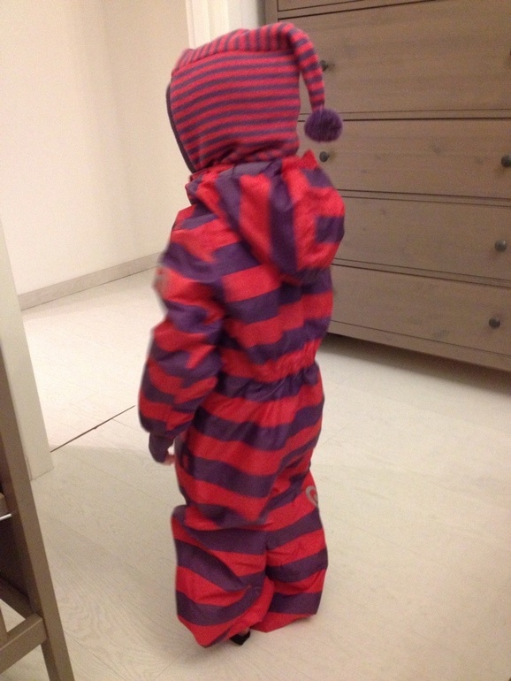 Отзыв по зимнему комбезу Minymo