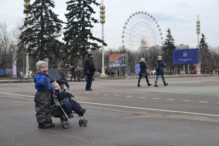 Московский Дом Бабочек