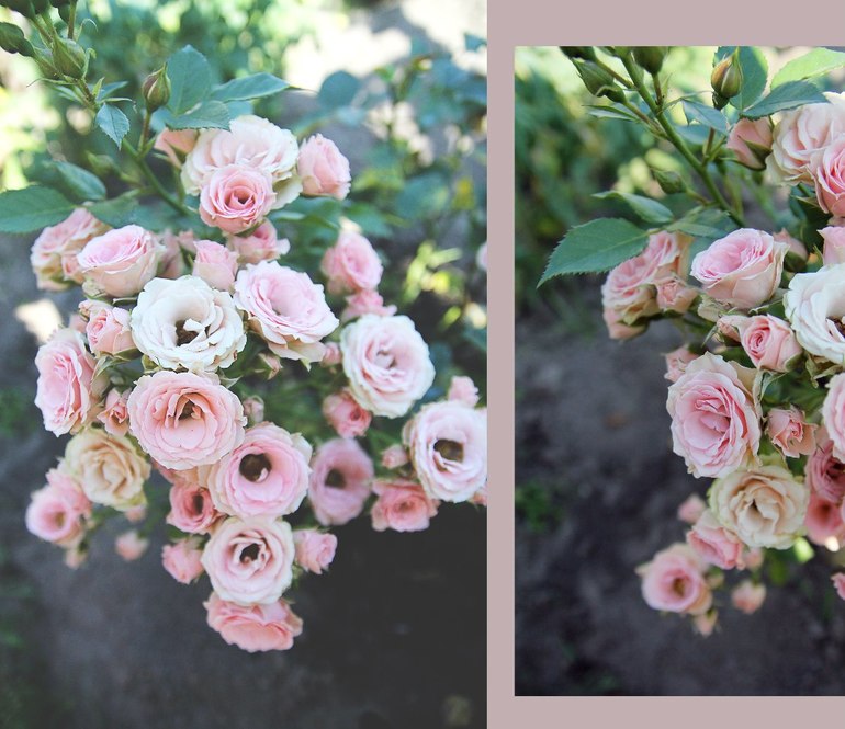 C днем защитников Отечества!