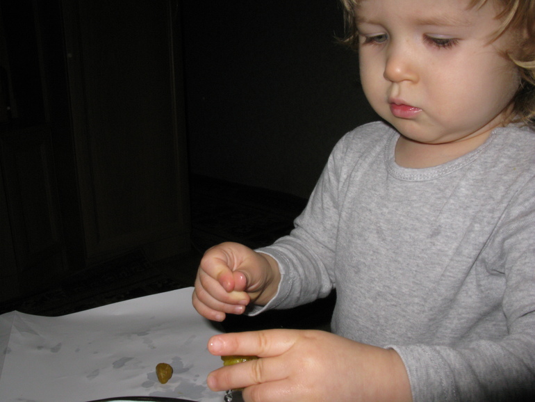 Лепка. Животные.