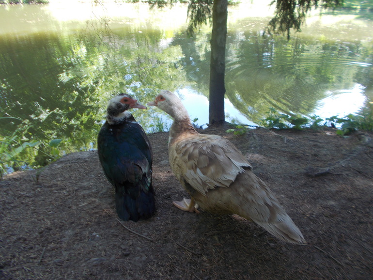Чудесная ББ встреча)))) 24.05.2014 Шевченковский Гай.