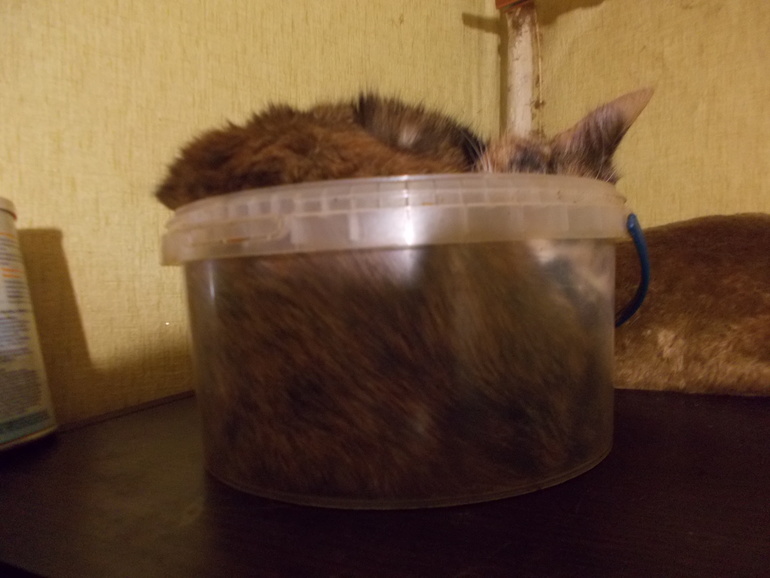 И еще вот с позавчрашней прогулки)))