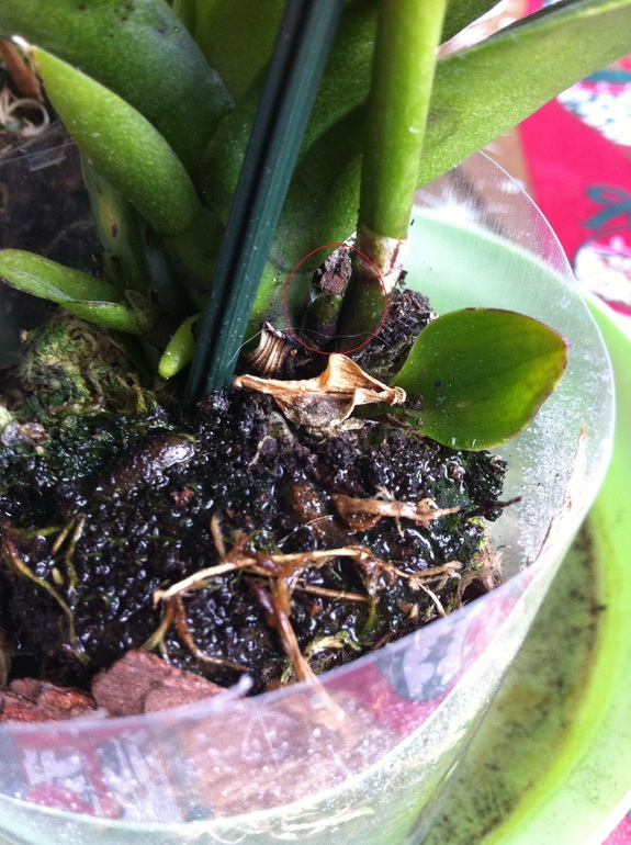 Два вопроса