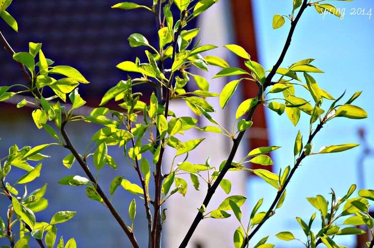 Зачем строить дом??? (с фото)