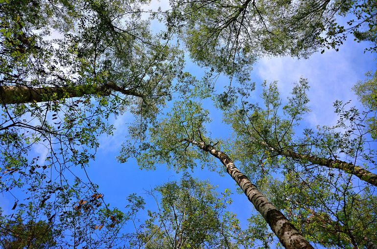 Трехлетие двойняшек (фотоотчет ДР)