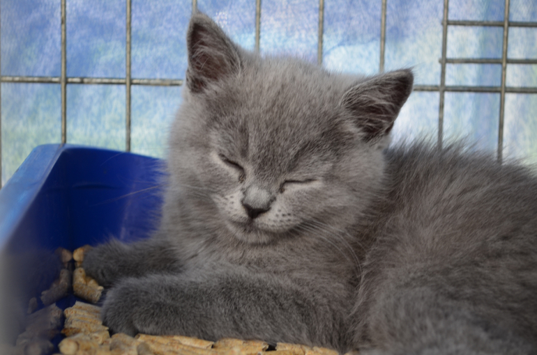 Феерверк Добра. Фотоотчет.