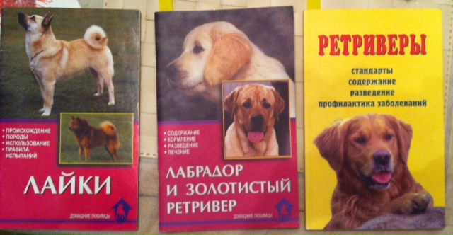 Самые лучшие пожелания на свадьбу от друзей Самые лучшие пожелания на свадьбу от друзей