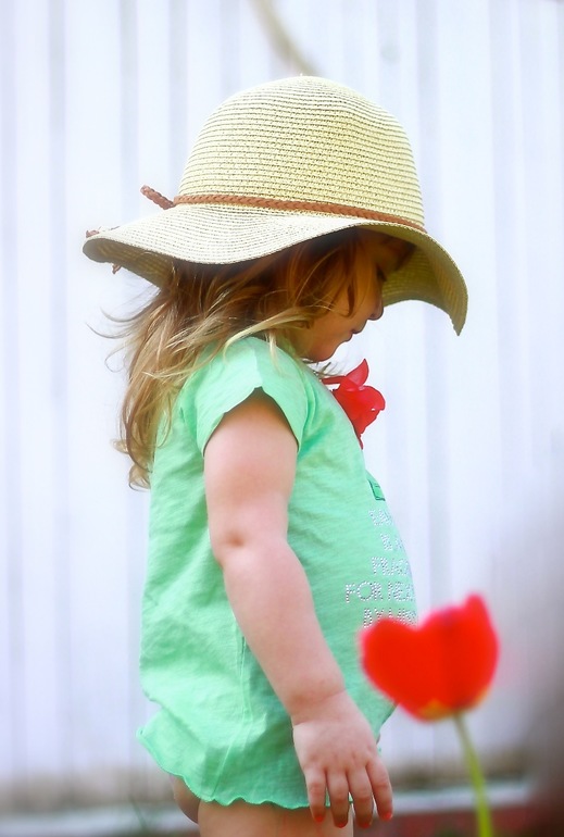 Садовод любитель