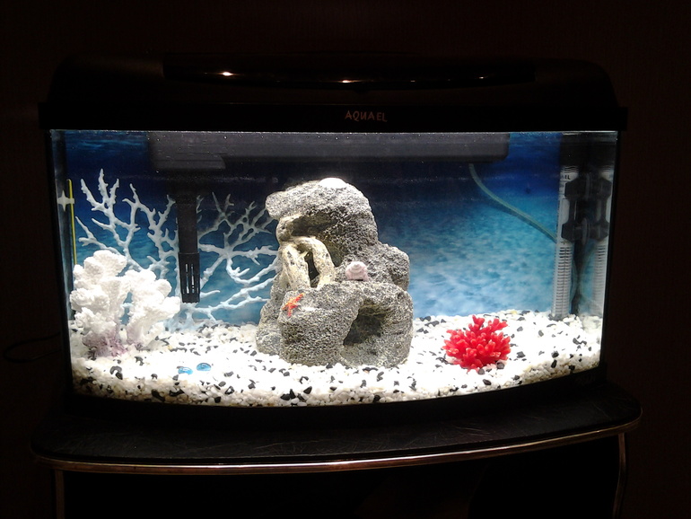 Мой аквариум