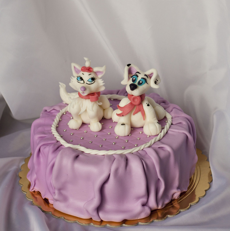 Кошки и собаки!