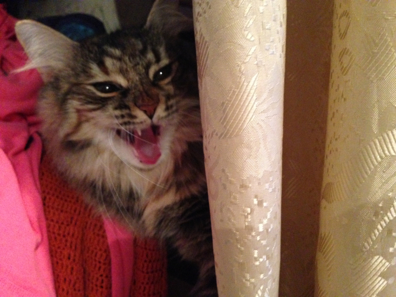 Третий день ТН Кто что строит