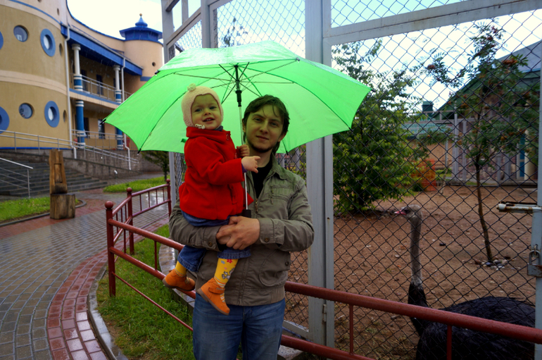 Недавние события. Поля.