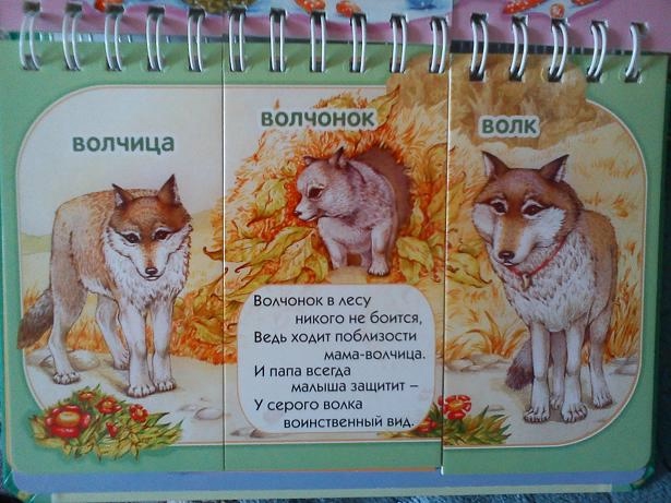 Лесные друзья. Волк.