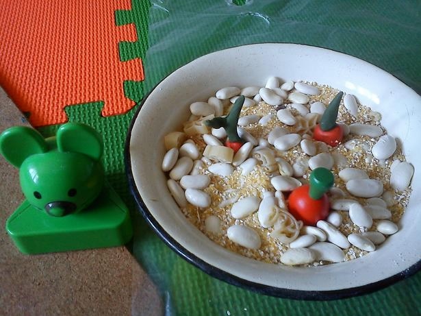 Лесные друзья. День третий – Зайчик