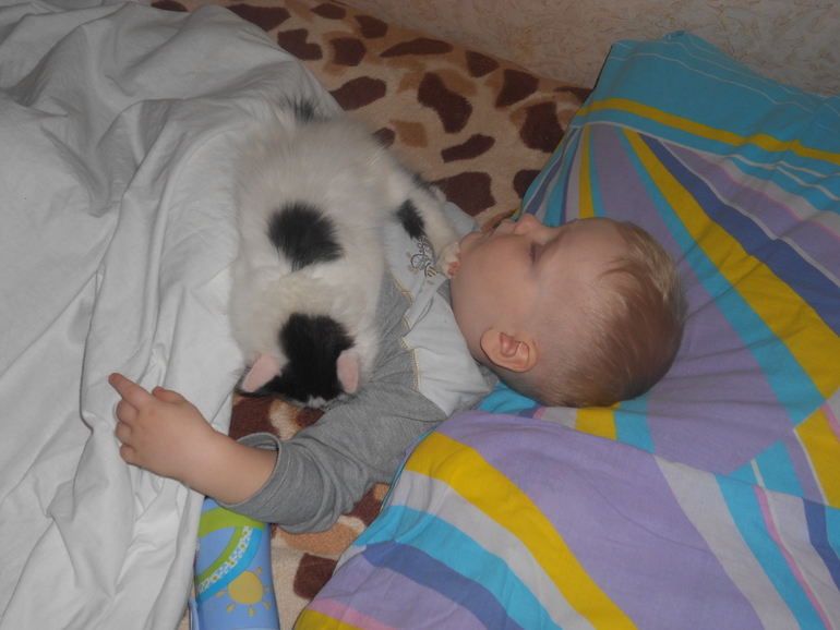 Сын и котенок ... а как у Вас!?