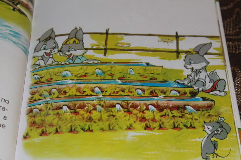 Пару коробок радости))))))))