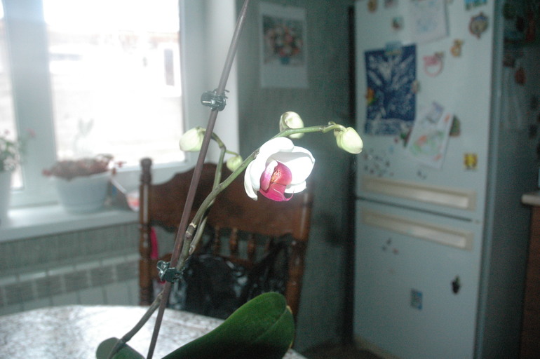 первый этап, заход тоже первый