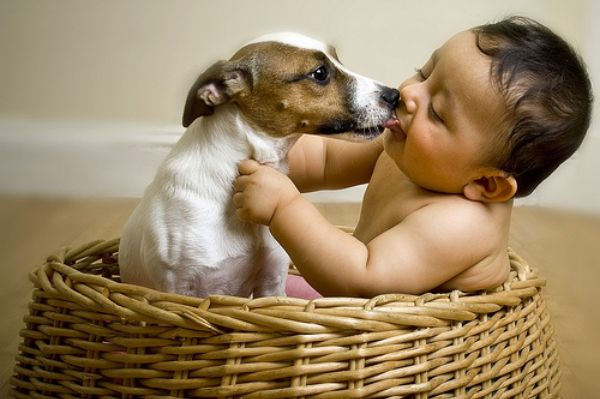 Воображалки