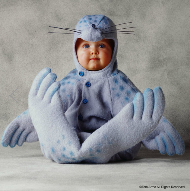 Пожалуйста, спасите животных