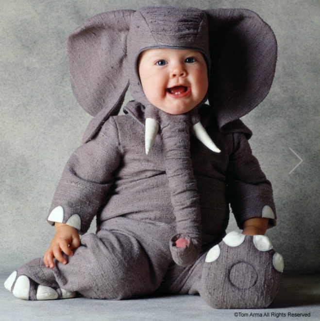 Пожалуйста, спасите животных