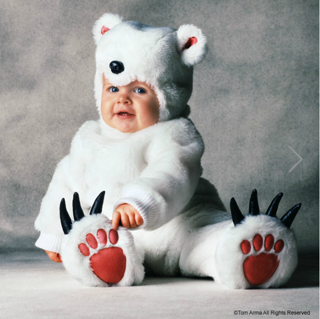 Пожалуйста, спасите животных