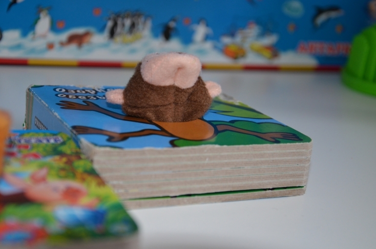 Книжки-малышки+пальчиковый театр.