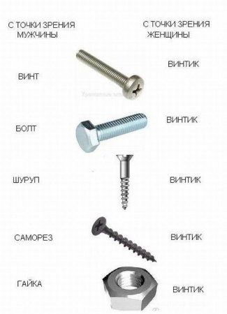 Минутка юмора:) Возможно, под баянчик:)
