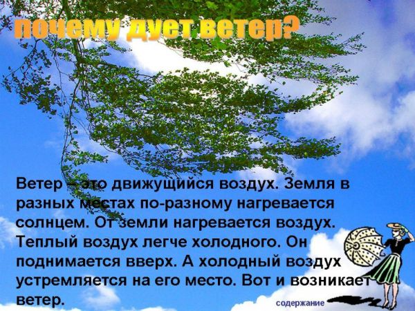 Почему горячий воздух поднимается вверх?