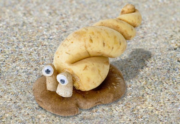 Игра с едой. Творчество Ванессы Дулиб