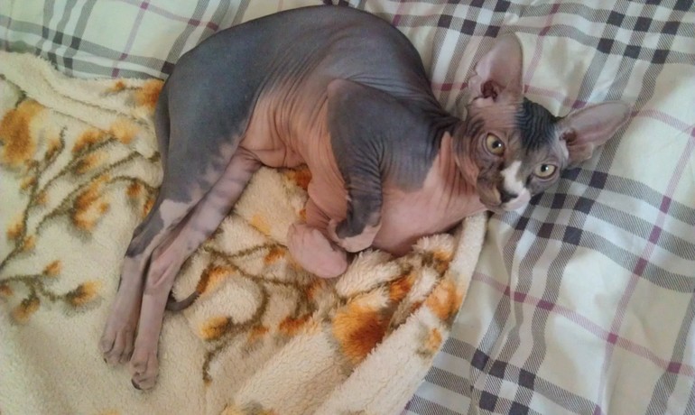 Насморк? Аллергия?