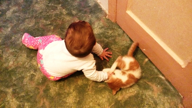 Новогоднего немного ♥ и фотки