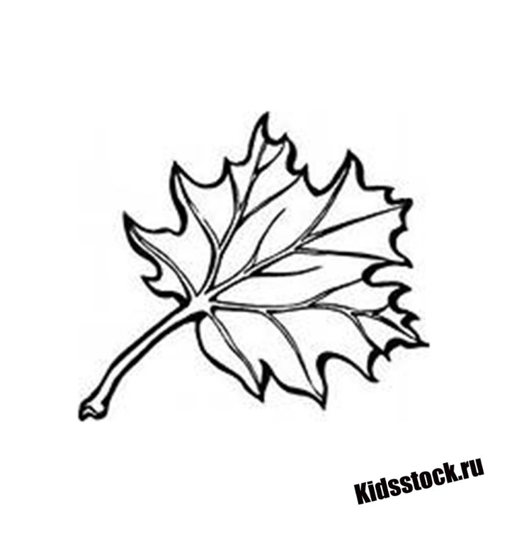 Раскраски для распечатки