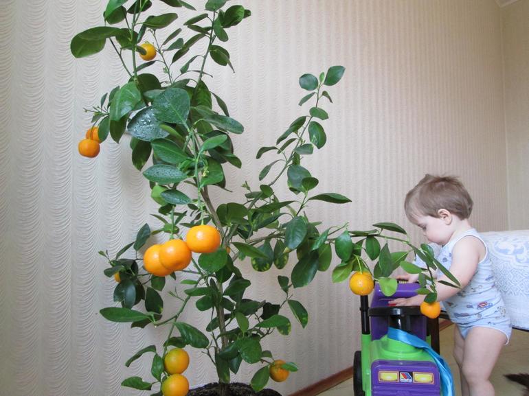 Поругались...