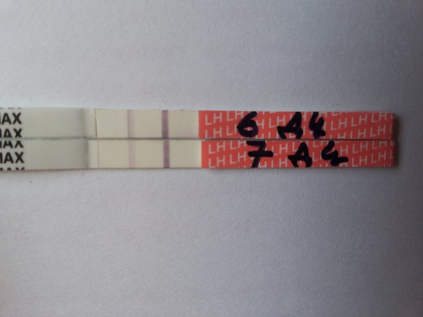 ранняя овуляция или что?