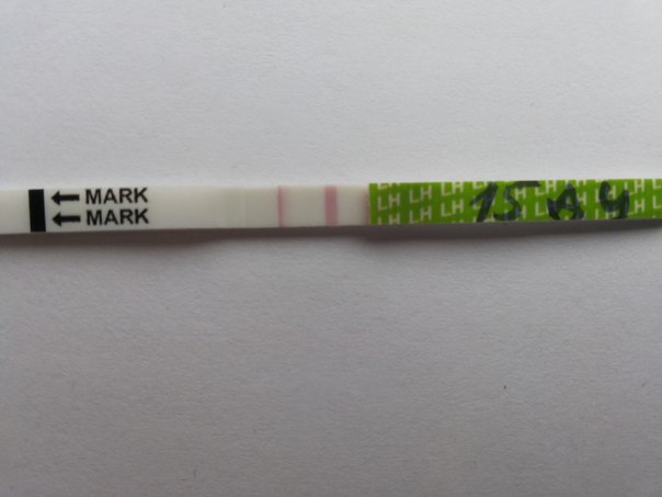 Что за бред?